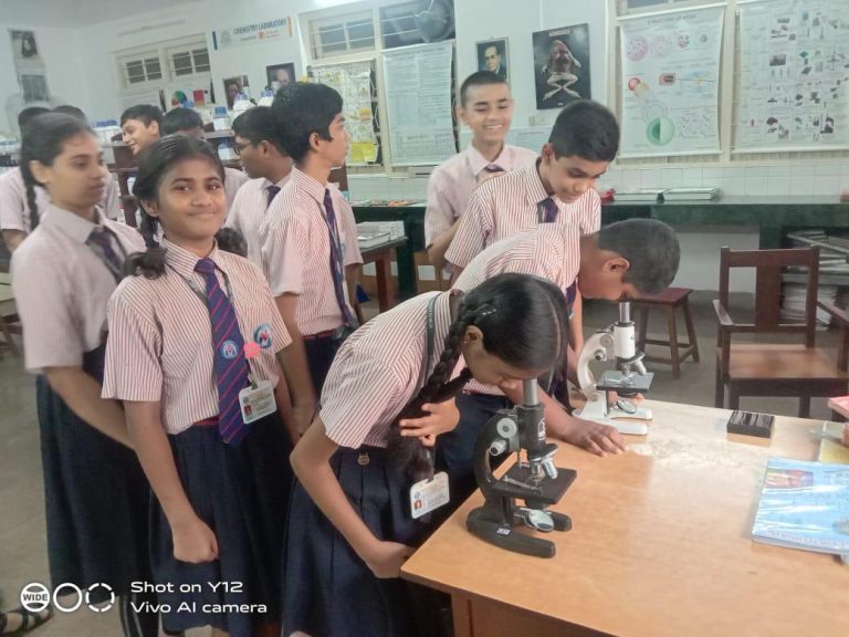 STEM Labs